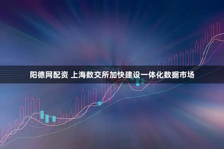 阳德网配资 上海数交所加快建设一体化数据市场