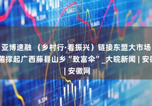 亚博速融 （乡村行·看振兴）链接东盟大市场 红菌撑起广西藤县山乡“致富伞”_大皖新闻 | 安徽网